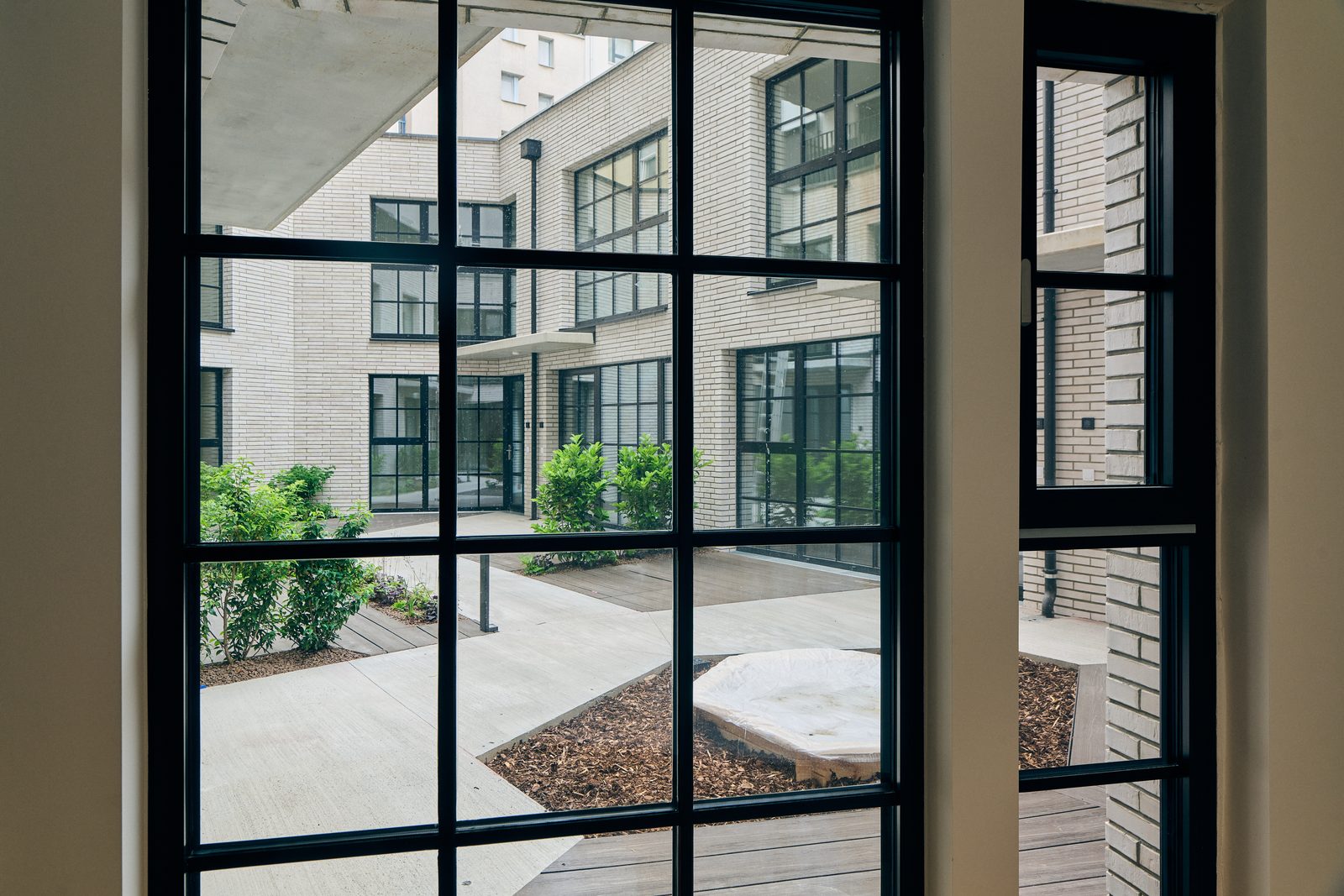 Blick aus einer Wohnung durch bodentiefe Stahlfenster in den begrünten Innenhof